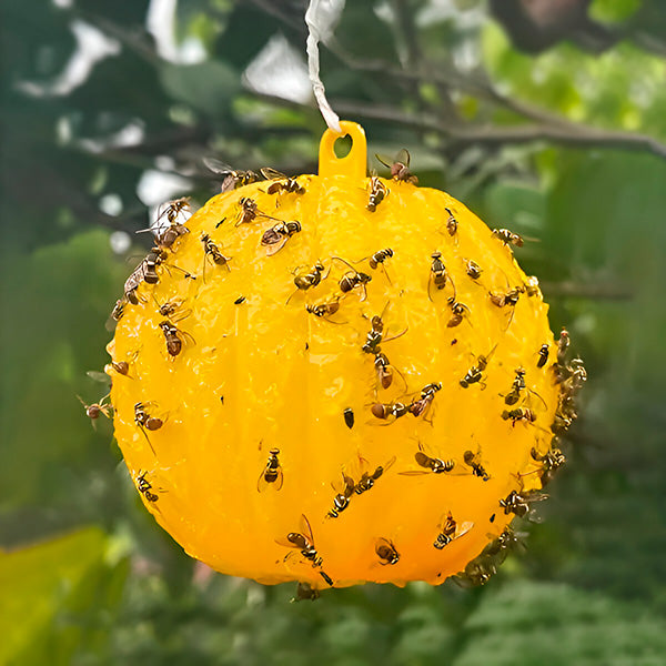 NOMOVA Hanging Fly Trap with Adhesive Layer (6 Pcs)