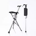 Walking stick with seat - product image 1