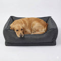 NOMOVA Orthopedic Anti Slip Car Dog Bed Back Seat