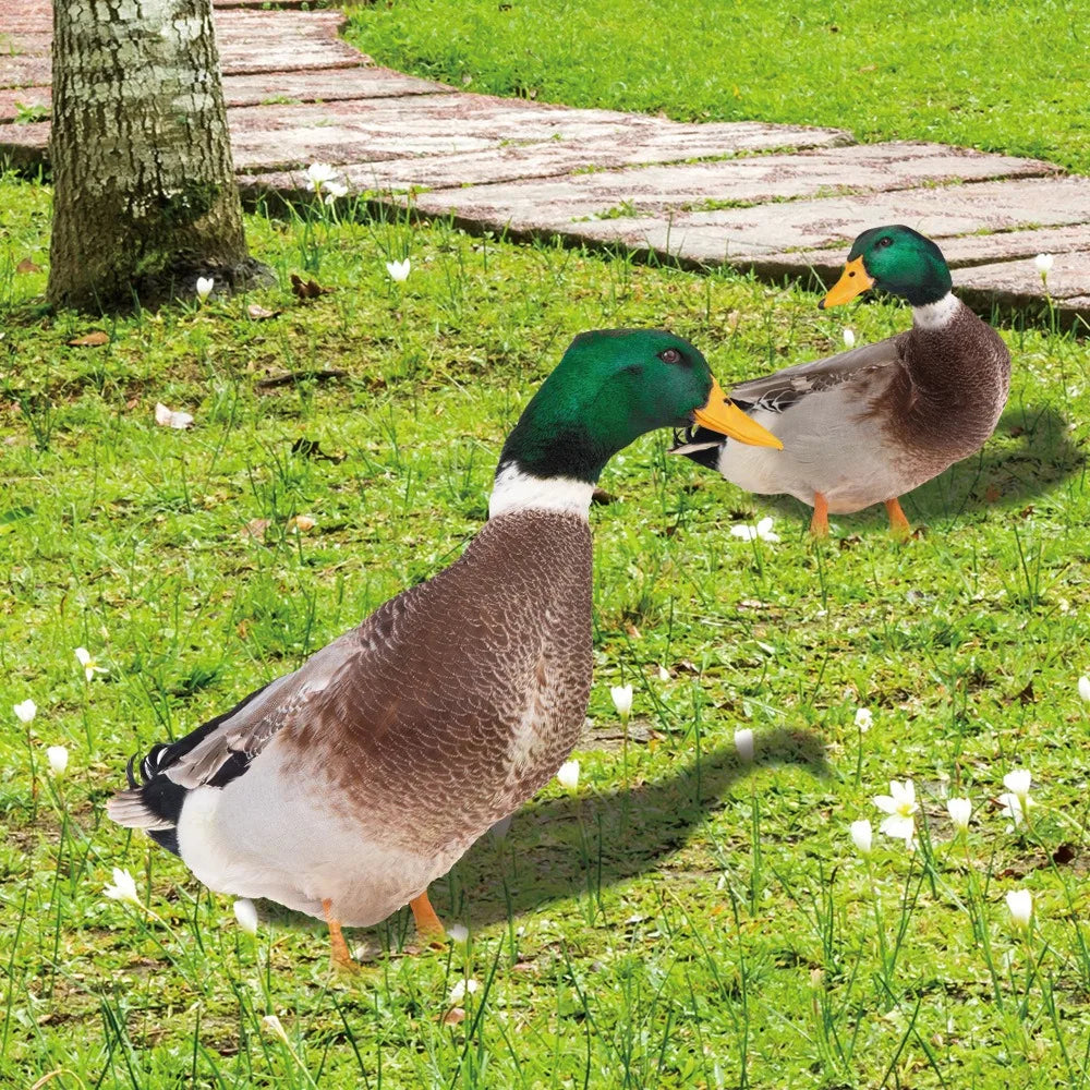 Outdoor Duck Decoration - product detail 2