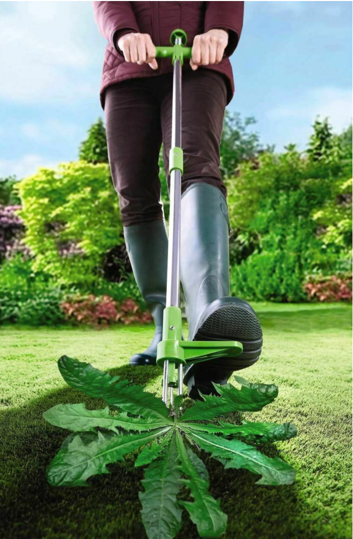 Weed puller - Garden grass root remover - product detail 3
