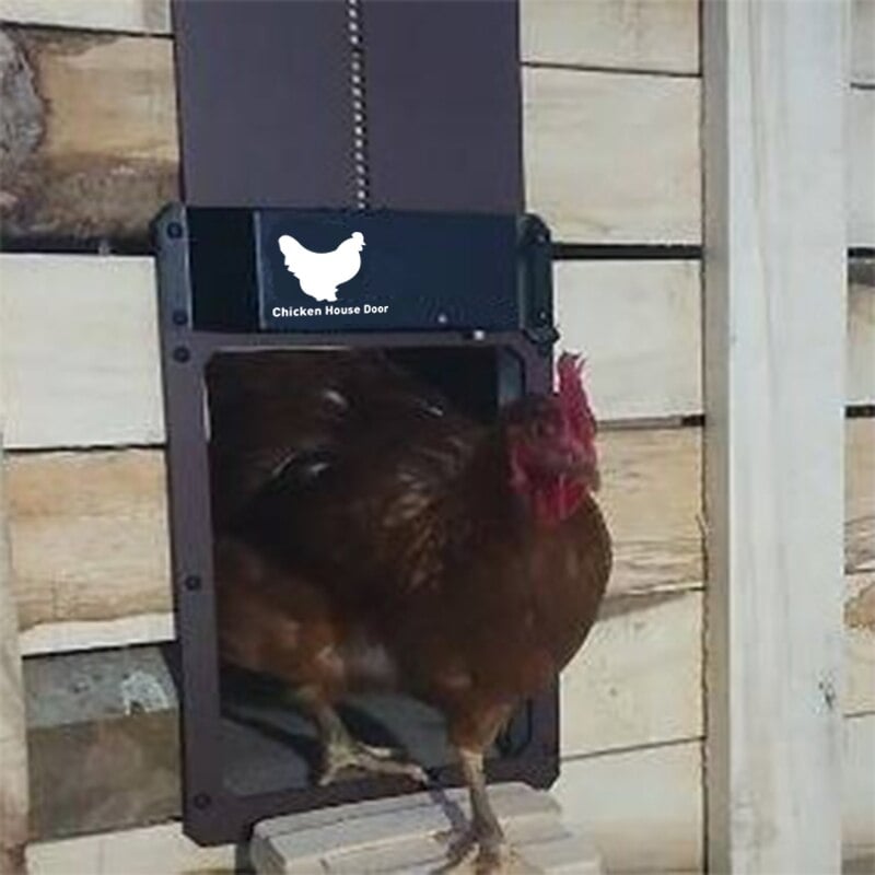 Automatic Chicken Coop Door Opener - Chicken Coop - product detail 2