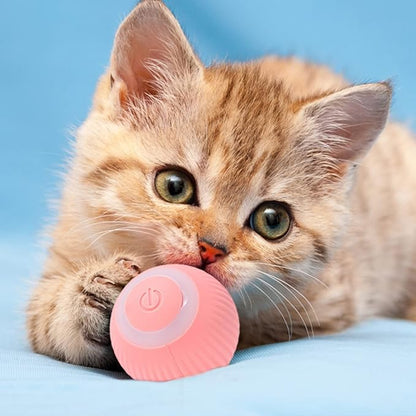 Interactive play ball for cats - product detail 4