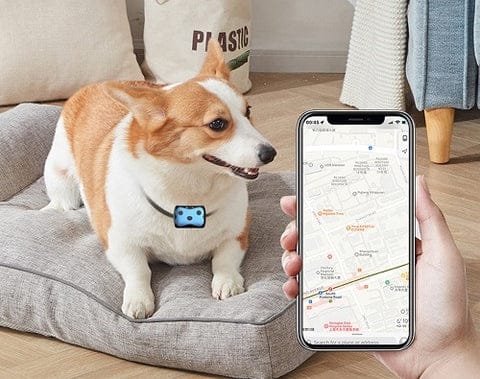 GPS Tracker for Dogs | Location Collar - product detail 6