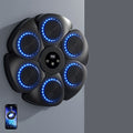 NOMOVA Wireless Music Boxing Machine, USB Rechargeable Wall Target