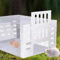 NOMOVA Self-Activating Mouse Trap