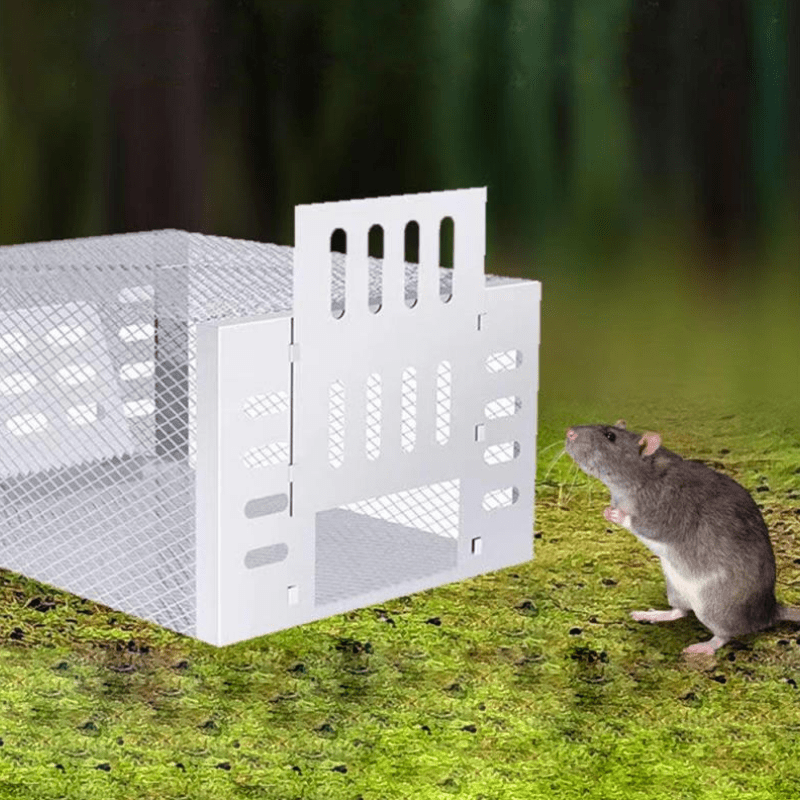 Human Mouse Trap with Safe & Reusable Design - product detail 2