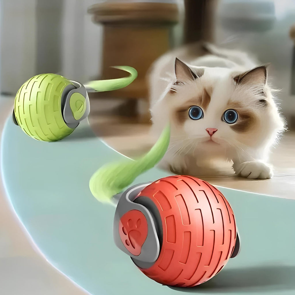 NOMOVA Moving Cat Toy