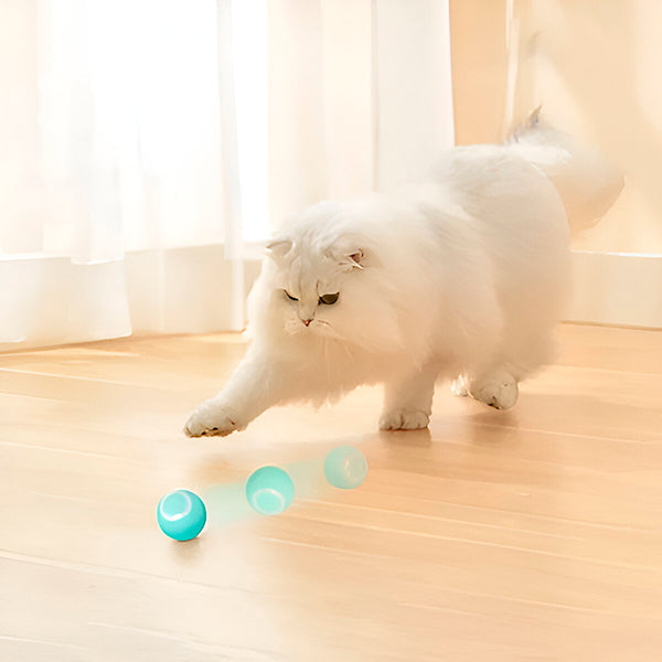 NOMOVA Interactive Pet Ball, Rolls Automatically