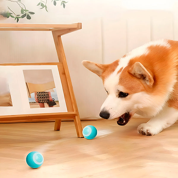 Interactive Pet Ball - product detail 3