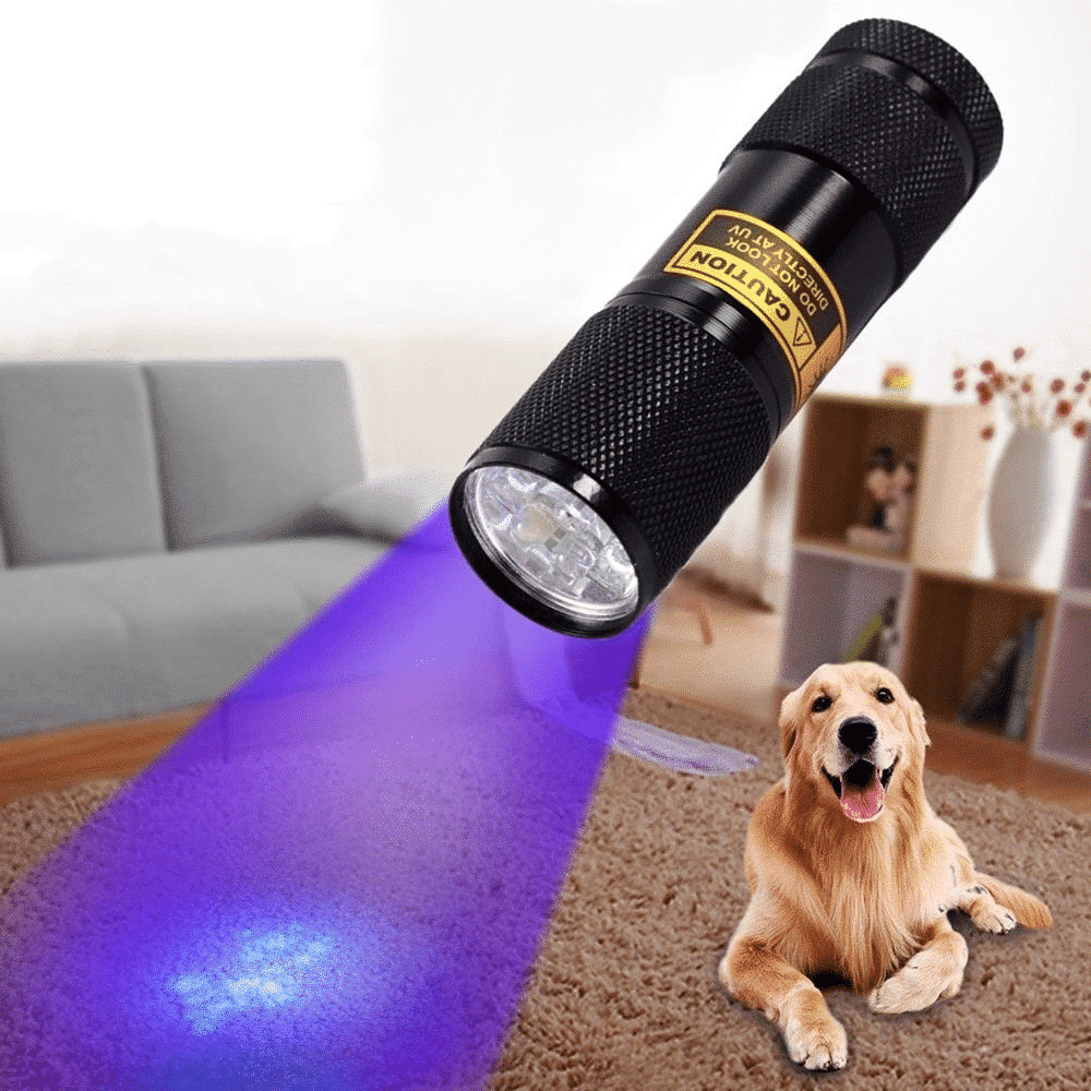 Powerful 21 LED pocket UV lamp - product detail 4