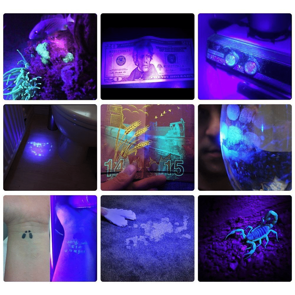 Powerful 21 LED pocket UV lamp - product detail 6