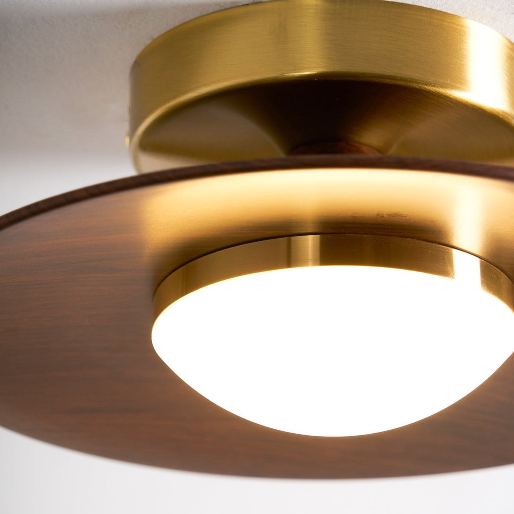 Luz de techo LED contemporánea con diseño compacto de montaje empotrado
