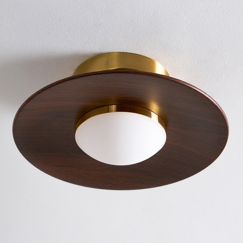 Luz de techo LED contemporánea con diseño compacto de montaje empotrado