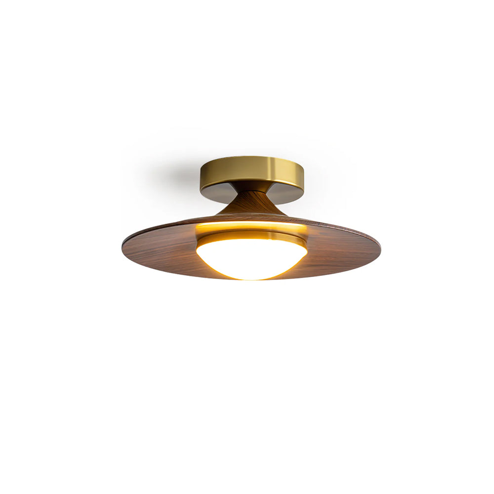Luz de techo LED contemporánea con diseño compacto de montaje empotrado