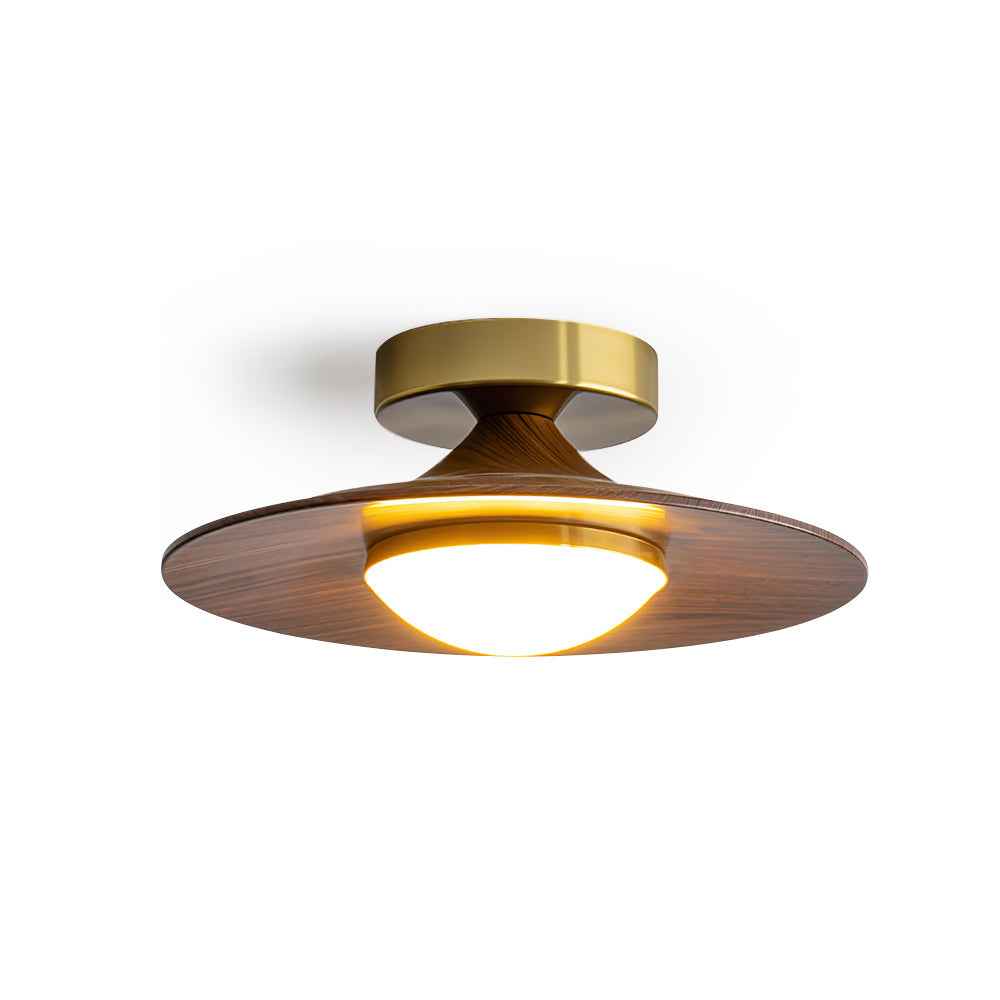 Luz de techo LED contemporánea con diseño compacto de montaje empotrado