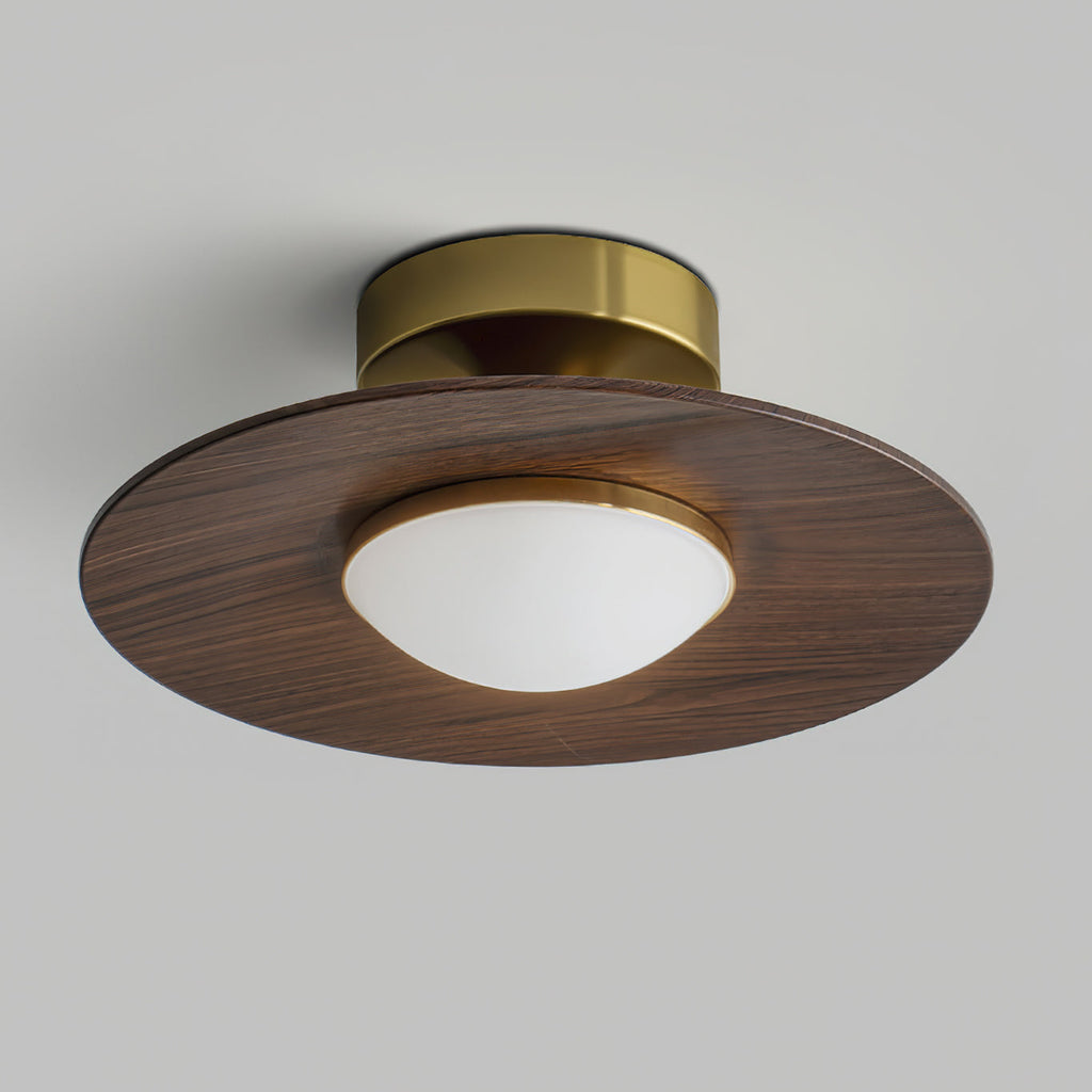 Luz de techo LED contemporánea con diseño compacto de montaje empotrado