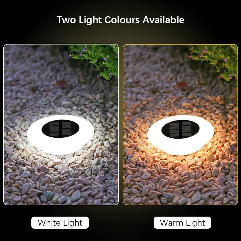Solar Ground Light 4-Pack – 14 LEDs & 360° Ground Illumination