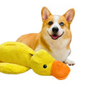 Calming Durable Duck - product image 1