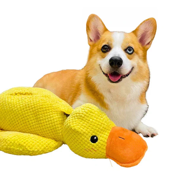 Calming Durable Duck - product image 1