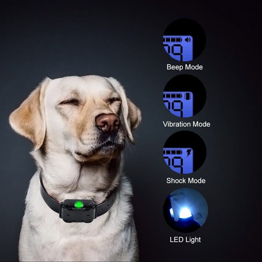 Electric dog training collar 800M Range - product detail 3