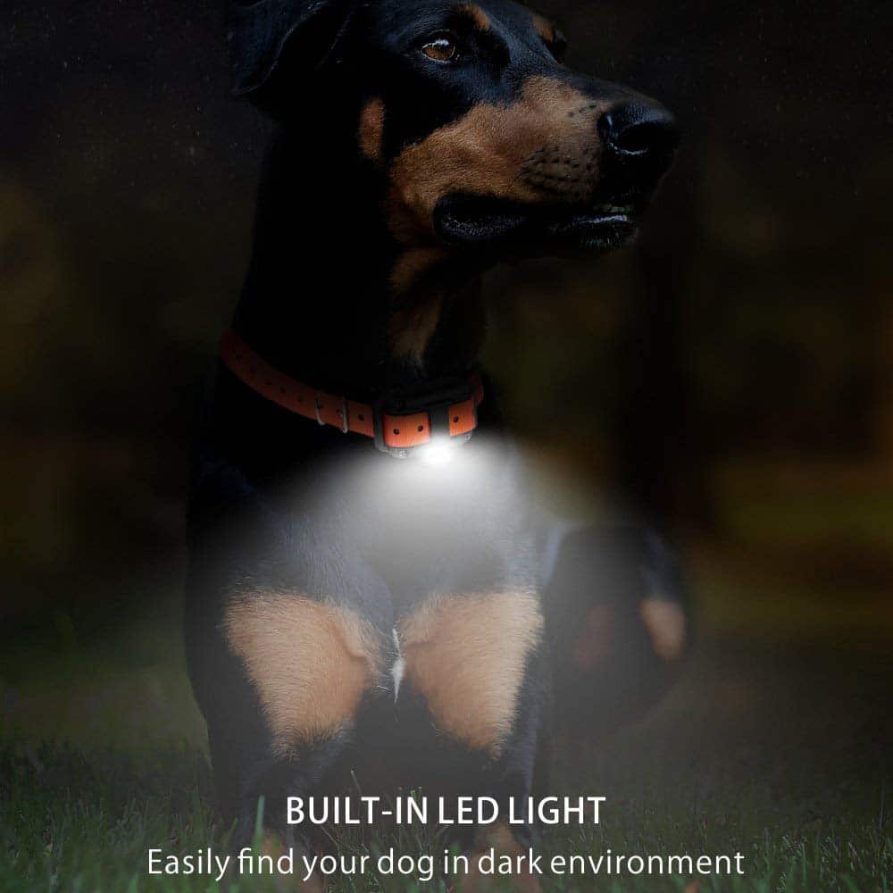 Electric dog training collar 800M Range - product detail 6