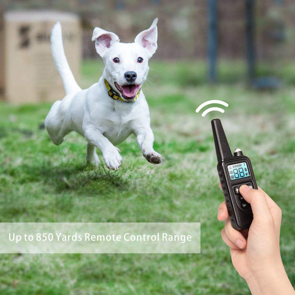 Electric dog training collar 800M Range - product detail 7