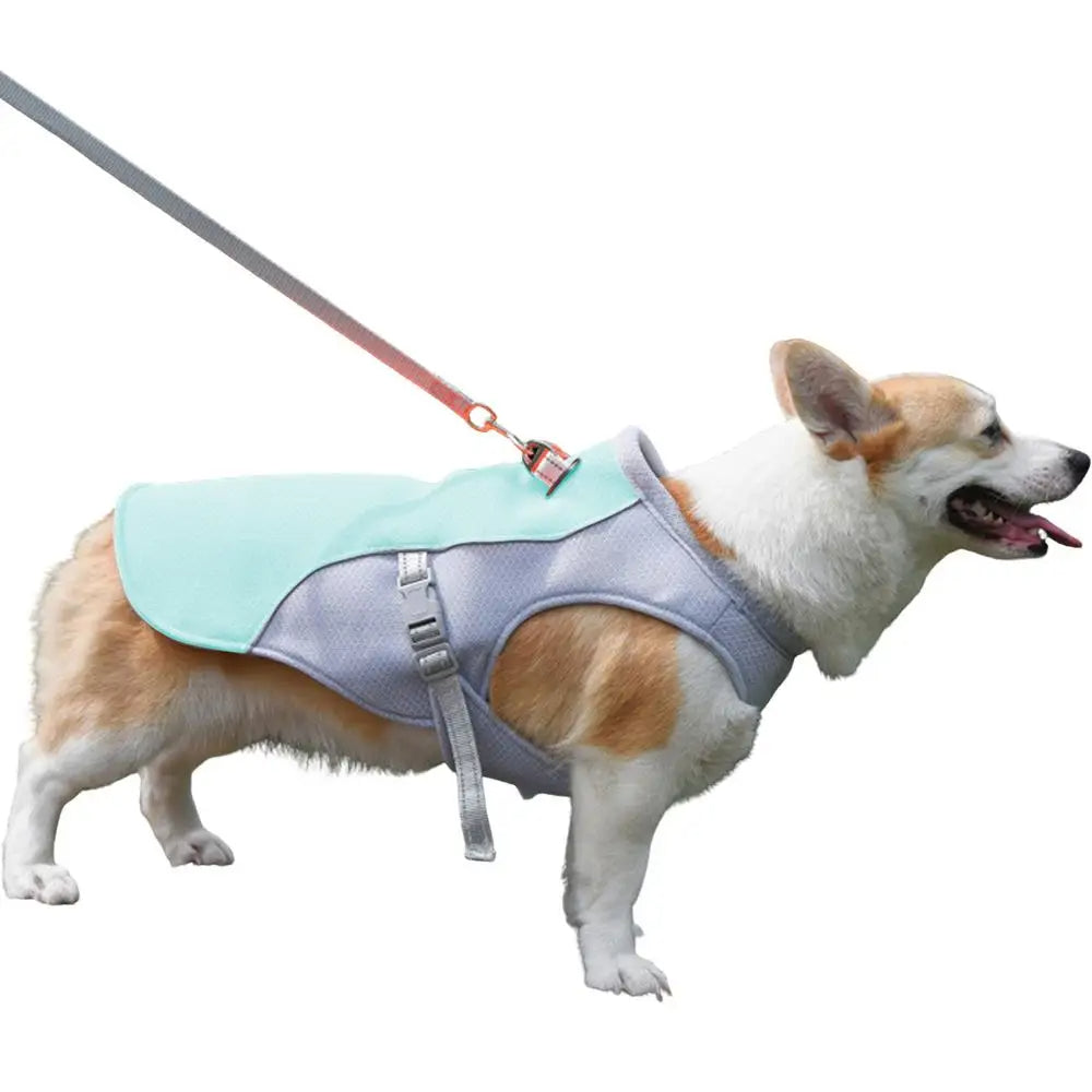 Dog Cooling Vest for Outdoor Activities - product detail 7