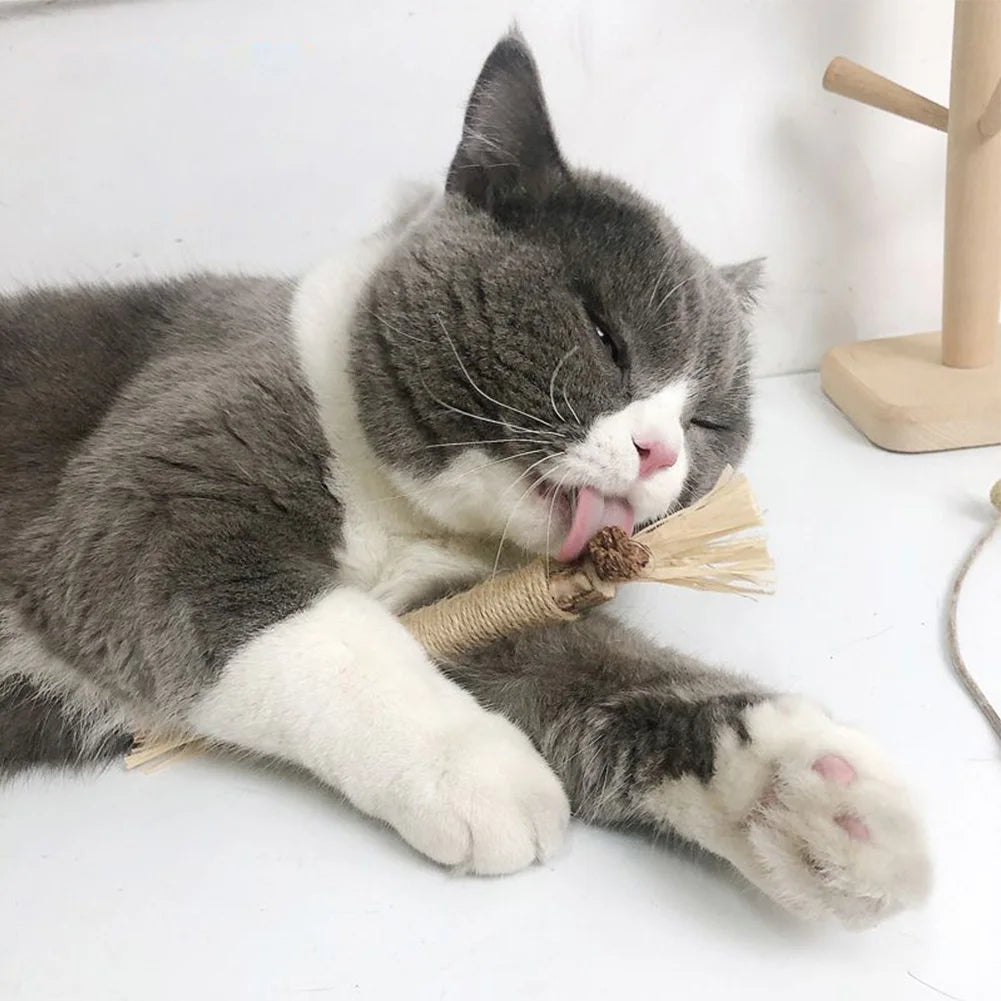 NOMOVA Natural Silvervine Cat Chew Toy