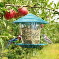 NOMOVA Hanging Bird Feeder with Automatic Seed Dispenser