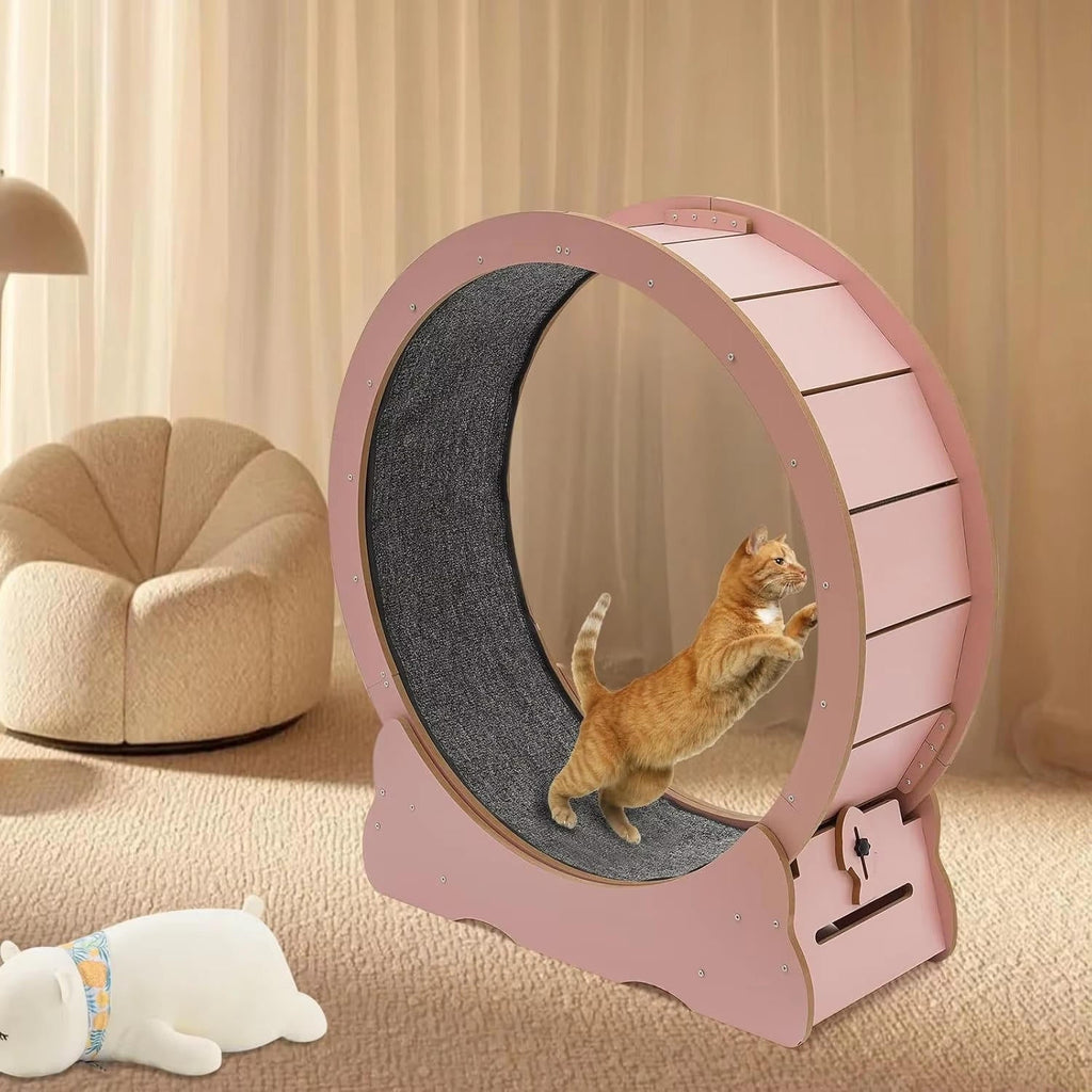 Cat Exercise Wheel - product detail 6