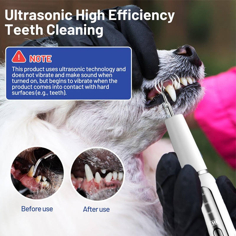 Dog Plaque Tartar Calculus Remover at Home - product detail 4