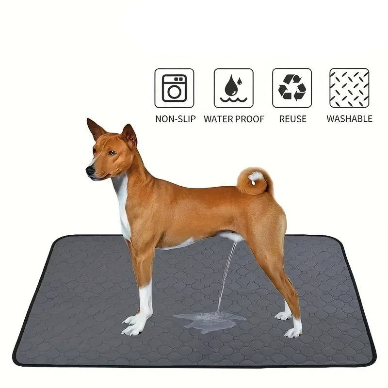 Dog Pee Pads Disposable And Reusable - product detail 2