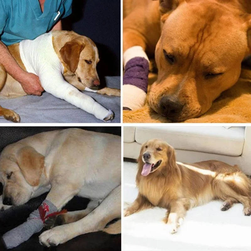 Orthopedic Braces For Dogs - product detail 2