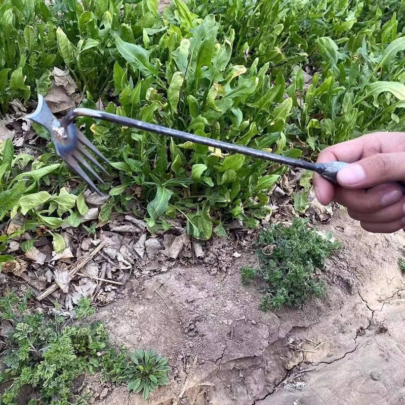 Weed Tool Remover - product detail 9