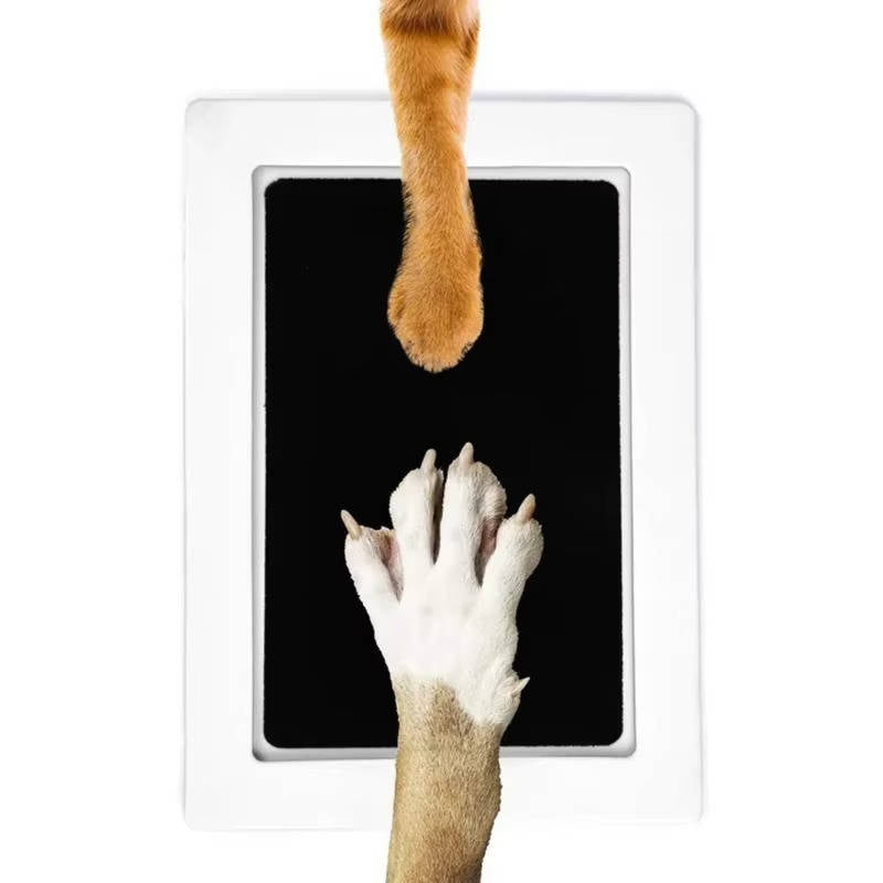 Dog Paw Print Kit - product detail 2