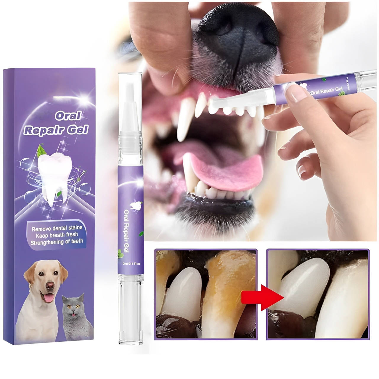 NOMOVA 3 Set Dog Oral Repair Gel