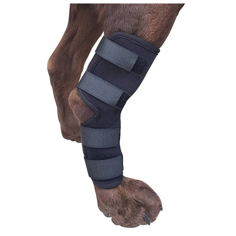 Orthopedic Braces For Dogs - product detail 5