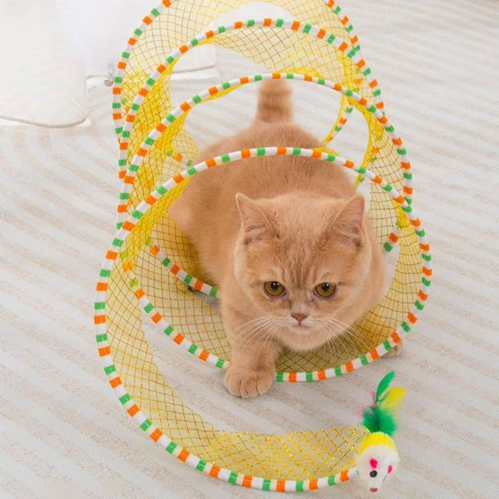 NOMOVA Cat Hunting Toys