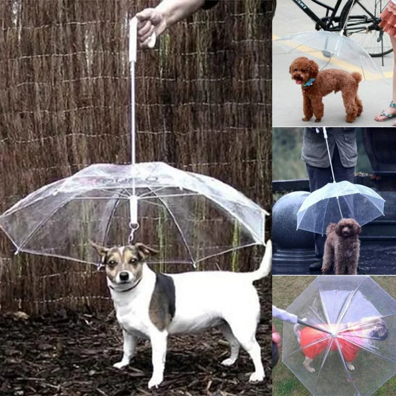 NOMOVA Dog Umbrella with Leash