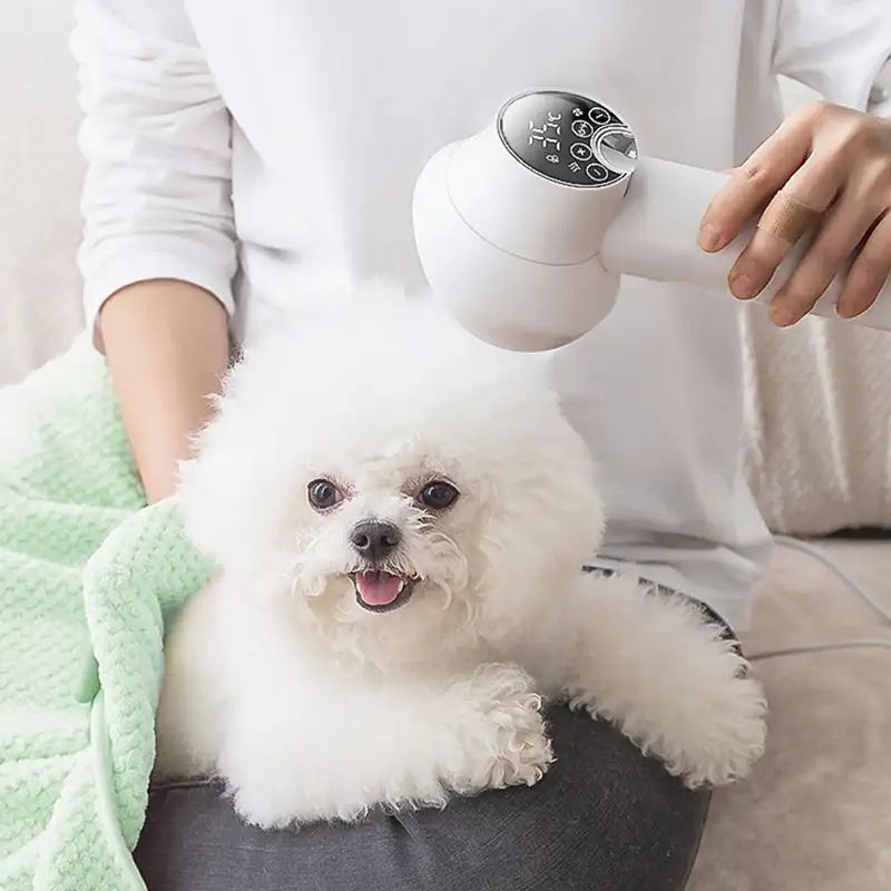 2 in 1 Smart Dog Hair Dryer - product image 1