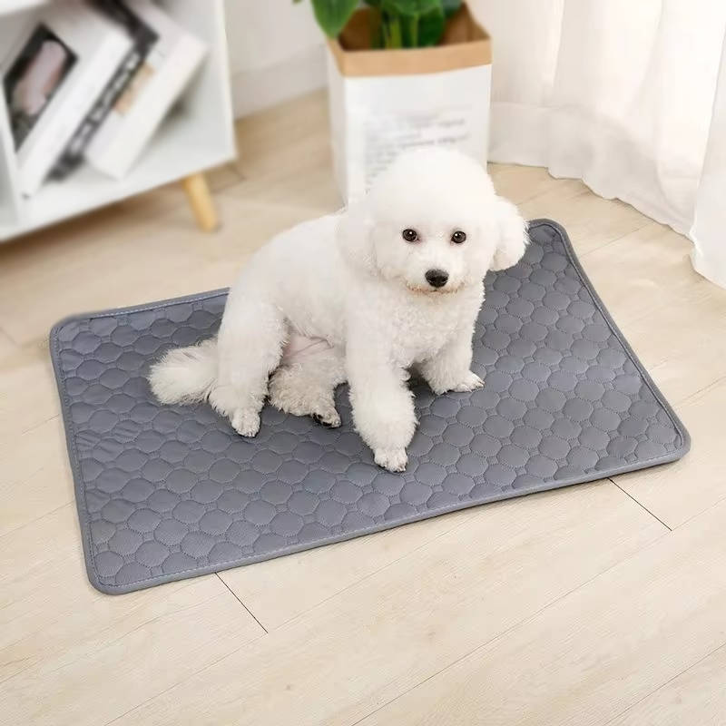 Dog Pee Pads Disposable And Reusable - product detail 5