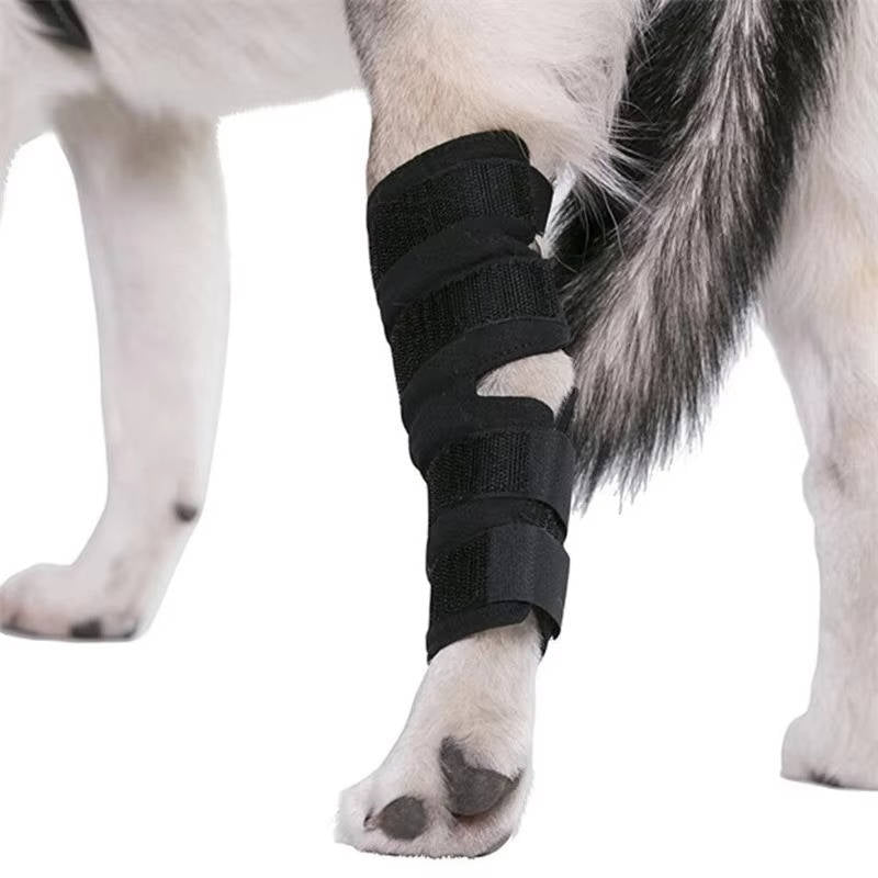 Orthopedic Braces For Dogs - product detail 4
