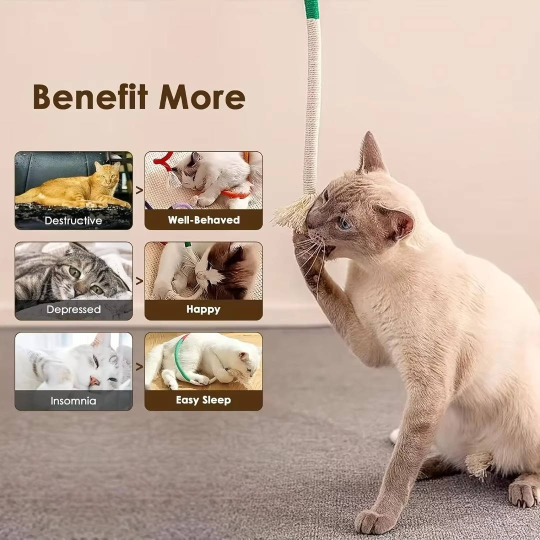 Cat Chew Toys - product detail 3
