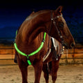 NOMOVA LED Breast Collar Horse