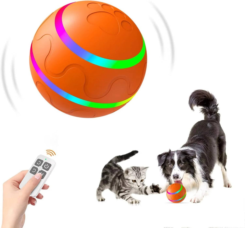 NOMOVA Interactive Dog Ball Toy