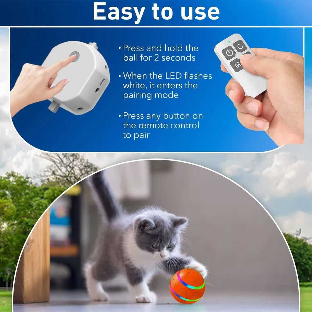 Interactive Dog Ball Toy - product detail 4