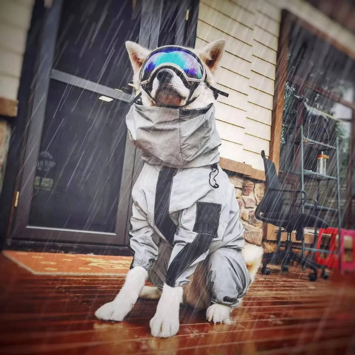 Waterproof Dogs Raincoat - product detail 2