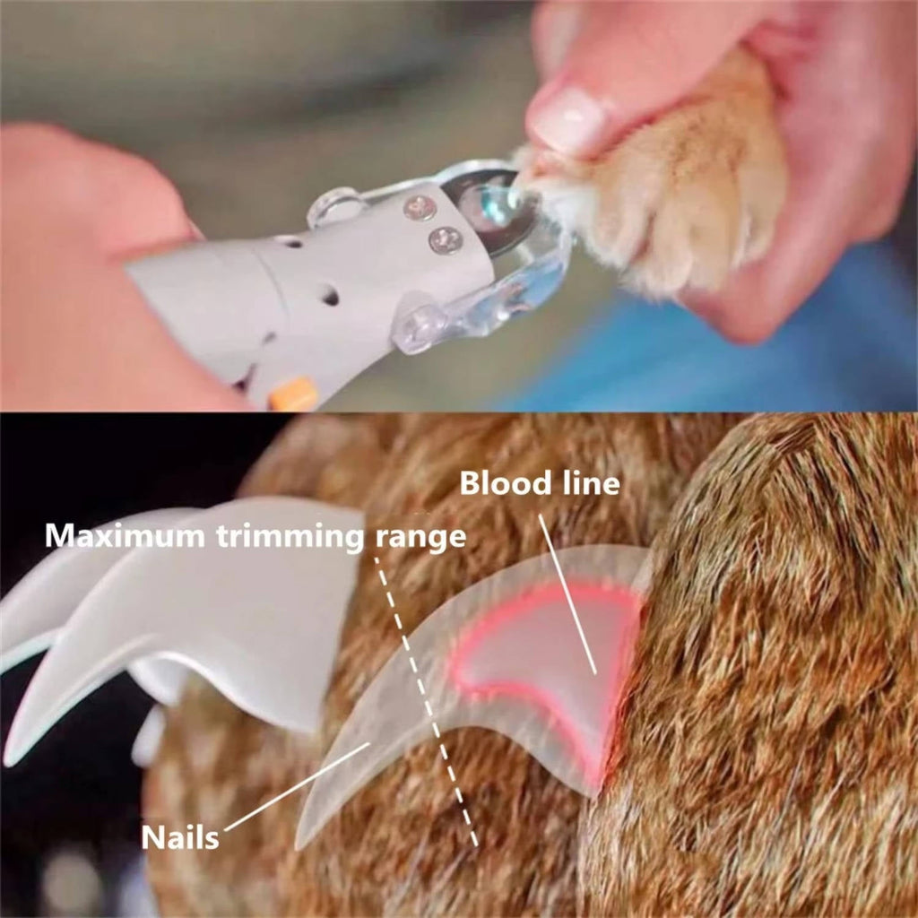 Pet Bail Clipper With Light - product detail 3