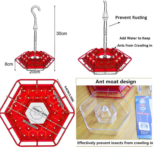 Hummingbird Feeder With Built-In Ant Moat - product detail 5